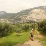 Ferrata Sallagoni Castel Drena